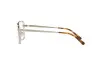 Bril Michael Kors Monterosso MK 3059 (1014)